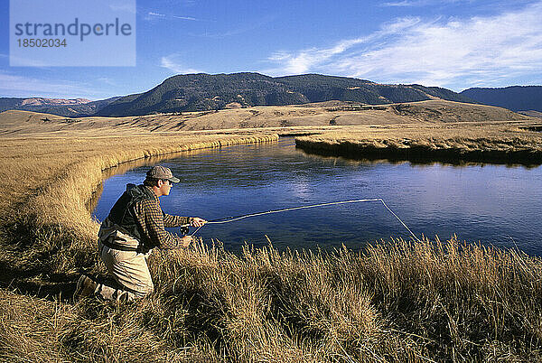 Ein Fliegenfischer verfolgt seine Beute an einem kleinen Forellenbach in Jackson Hole  Wyoming.
