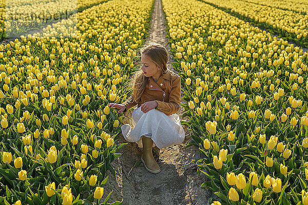 Junges Mädchen im gelben Tulpenfeld.