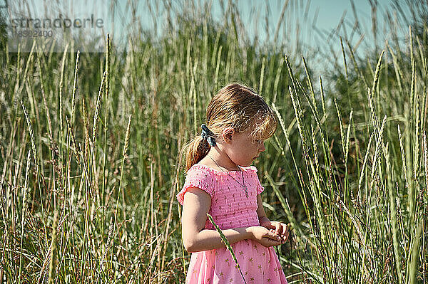 Kleines Mädchen im hohen Gras in Island