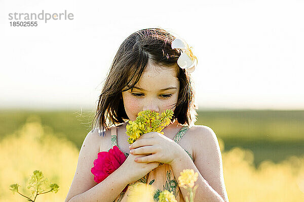 Seven Year Old Smelling Wildflowers in Field in San Diego