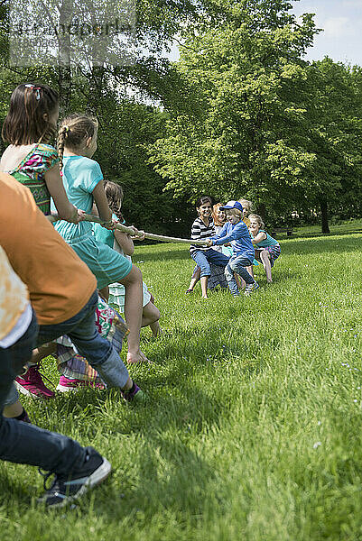 Gruppe Kinder spielen Tauziehen in einem Park  München  Bayern  Deutschland