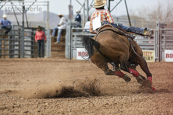 A female rider competes in the barrel racing event at the black rodeo