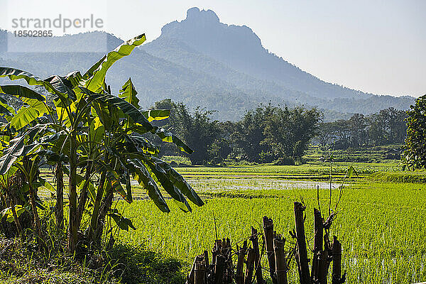 ländliche Landschaft und Reisfelder in Nordthailand