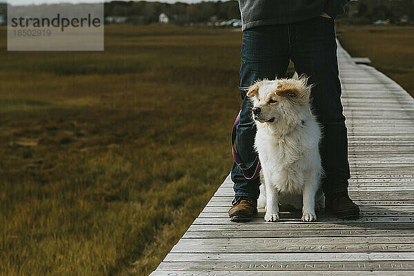 Niedlicher Hund sitzt zwischen den Beinen erwachsener Männchen auf der Promenade über der Salzwiese