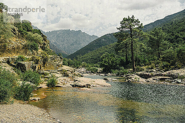 Wald  Fluss und Berge treffen in einer atemberaubenden korsischen Landschaft aufeinander