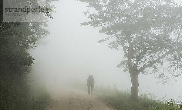 Mann geht im Nebel entlang einer Landstraße mit Bäumen