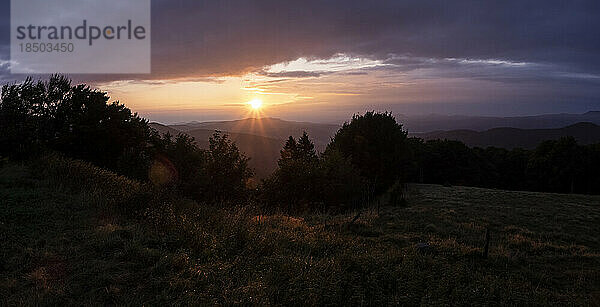 Panorama der Nadelwald- und Berglandschaft bei Sonnenaufgang  Stosswihr  Vogesen  Frankreich