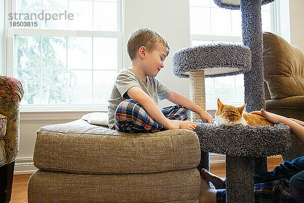 Glücklicher kleiner Junge sitzt lächelnd und spielt mit ruhender Haustierkatze
