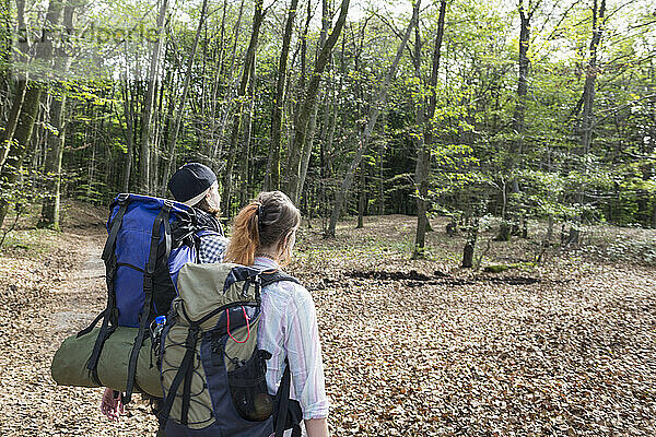 Rückansicht eines jungen Paares beim Wandern mit Rucksack in einem Wald  Bayern  Deutschland