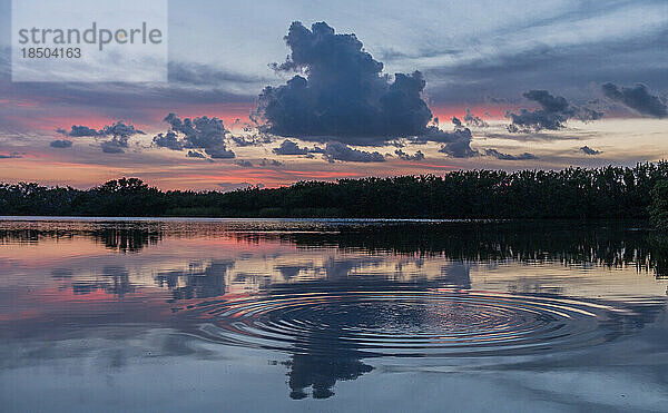 Ein schöner farbenfroher Sonnenaufgang im Everglades-Nationalpark