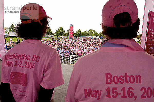 View from the stage at the closing ceremonies of a breast cancer walk in Boston.
