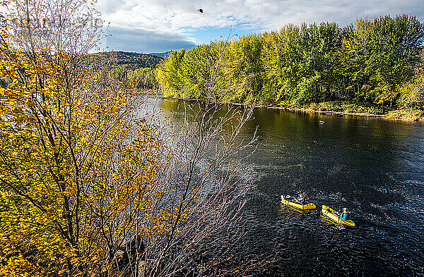 Zwei Personen paddeln im Herbst mit Packflossen auf einem Fluss