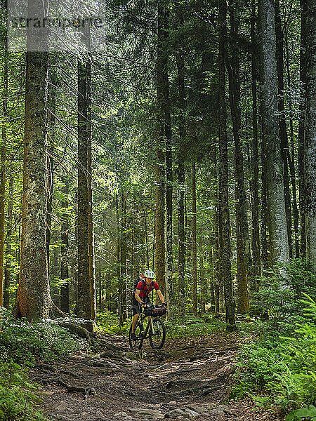 Mountainbiker fahren inmitten der Wälder des Schwarzwaldes  Hinterzarten  Baden-Württemberg  Deutschland