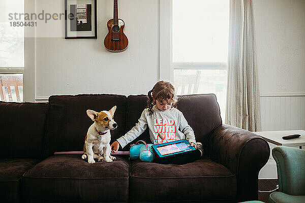 Junges Mädchen streichelt Corgi-Welpen  während es auf der Couch Tablet spielt