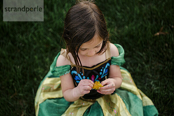 Draufsicht eines kleinen Mädchens im Prinzessinnenkostüm  das eine Blume erkundet