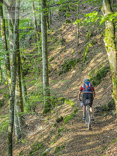 Mountainbiker radelt durch den Wald  in der Nähe von Todtnau  Baden-Württemberg  Deutschland