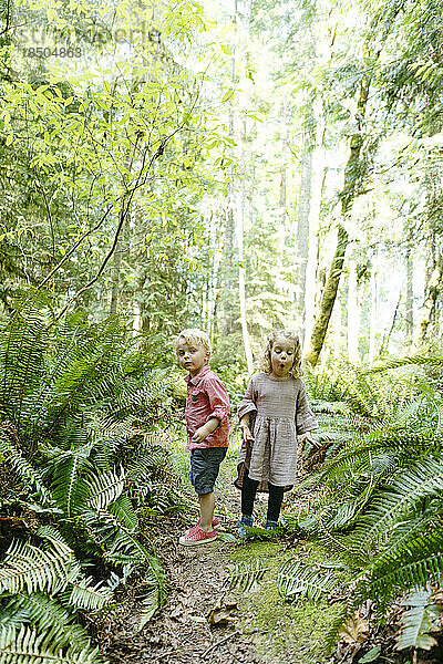 Direkter Blick auf zwei kleine Kinder  die durch den Wald wandern