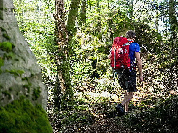 Mann wandert im Schwarzwald auf schmalem Fußweg  Baden-Württemberg  Deutschland