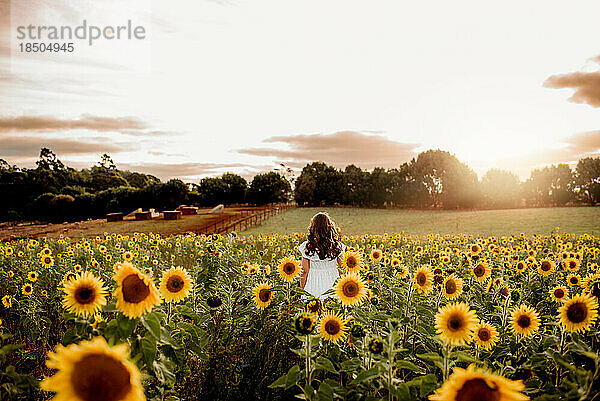 Junges Mädchen in einem Sonnenblumenfeld  das den Sonnenuntergang beobachtet