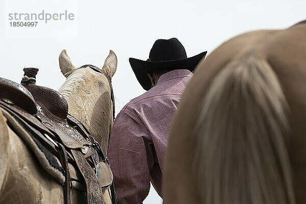 Ein Cowboy kümmert sich hinter der Bühne beim Arizona Black Rodeo um sein Pferd
