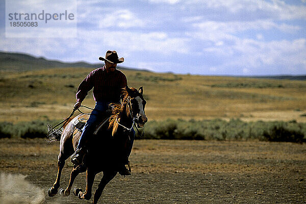 Cowboy reitet auf einem Pferd in der staubigen Prärie von Billings Montana