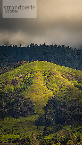 Der Octopus Hill im Anderson Valley wird am Frühlingsabend von der Sonne hervorgehoben