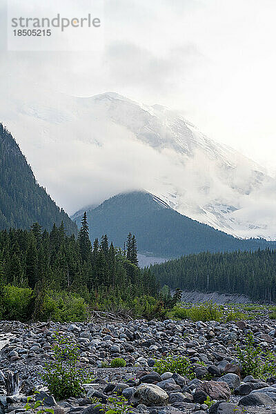 Felsiges Flussbett  das zum Mt.-Rainier-Nationalpark führt