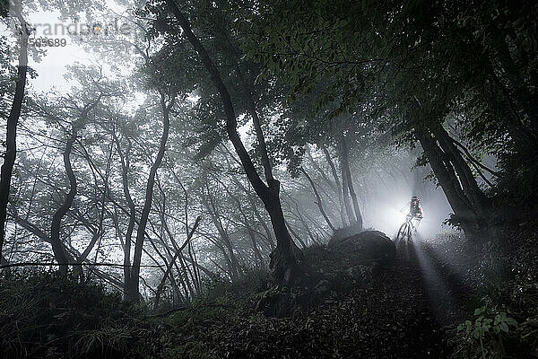 Enduro-Mountainbiker fährt einen Hügel im Wald hinunter  Trentino  Italien