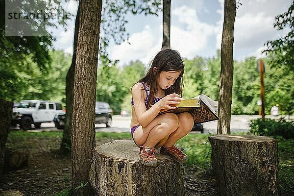 Ein kleines Mädchen sitzt auf einem Baumstumpf und liest im Sonnenlicht ein großes Buch