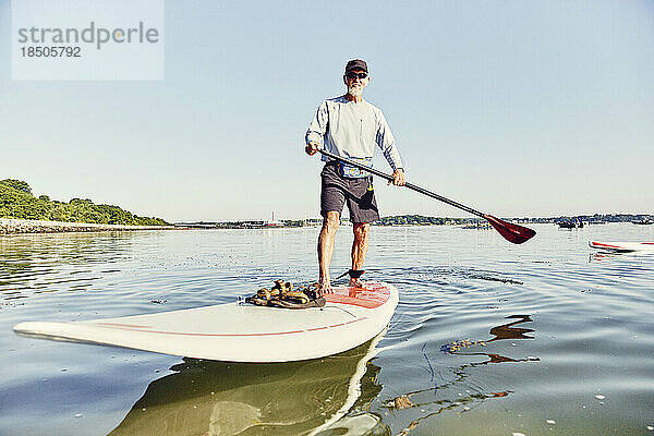 Reifer männlicher Standup-Paddle-Boarder hat Spaß in Casco Bay  Maine