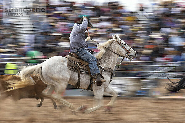 Schwenk eines Cowboys während einer Veranstaltung beim Arizona Black Rodeo
