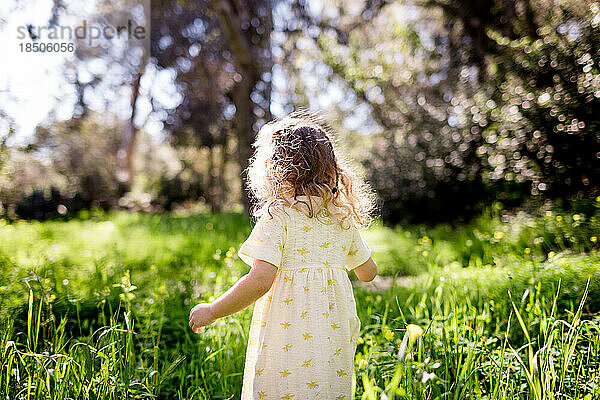 Zweijähriger geht an einem sonnigen Tag in San Diego durch das Feld
