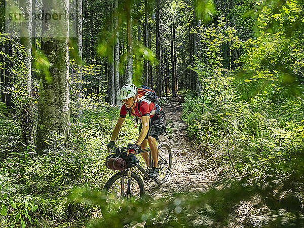Mountainbiker fahren inmitten der Wälder des Schwarzwaldes  Hinterzarten  Baden-Württemberg  Deutschland