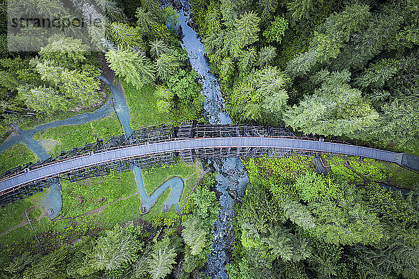 Kinsol Trestle mitten im Wald  Vancouver Island  Kanada