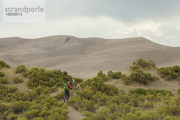 Mann wandert durch Büsche in Richtung Sanddünen