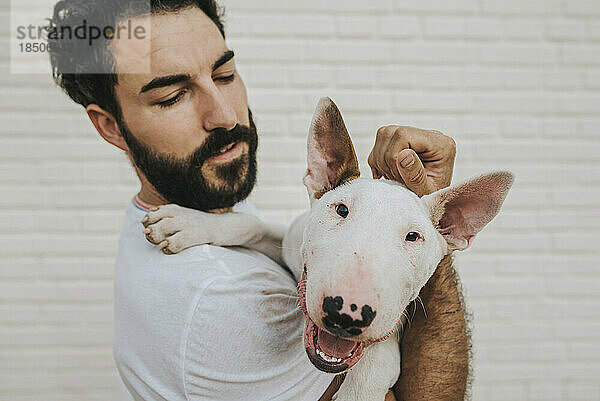 Bärtiger Mann umarmt weißen Bullterrierhund