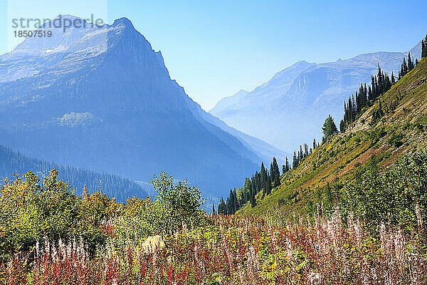 „The Loop“  Going-to-the-Sun Road  Glacier National Park  Montana