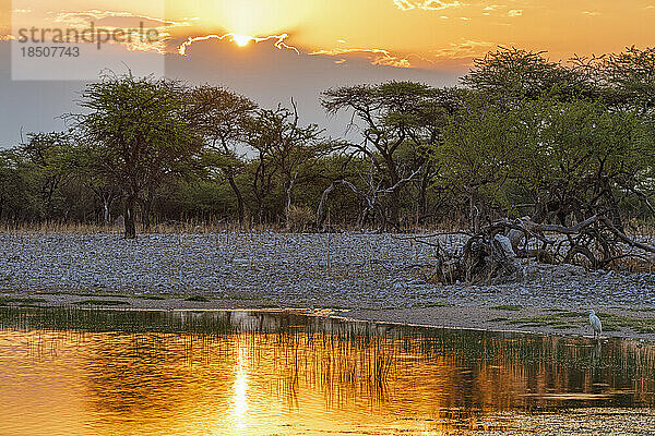 Wasserloch im Etosha-Nationalpark bei Sonnenuntergang  Namibia  Afrika