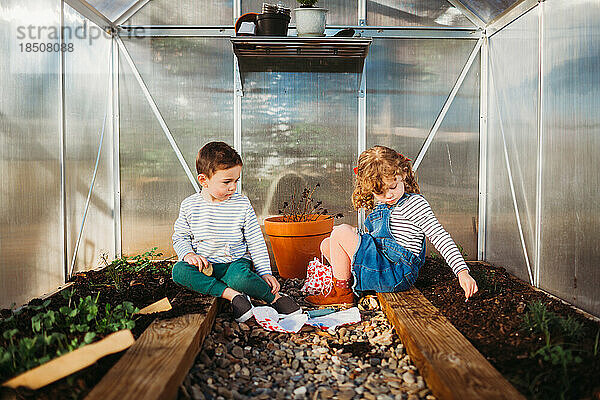 Junge und Mädchen sitzen im Frühling im grünen Hinterhofhaus