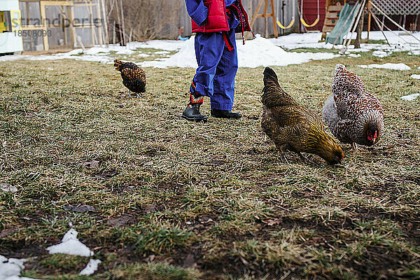 Nahaufnahme eines Kindes  das mit Hühnern im verschneiten Hof steht