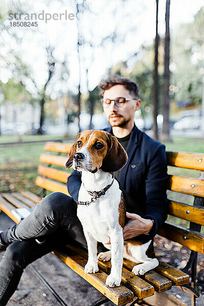 Stilvoller junger Mann sitzt mit seinem Beagle-Hund auf einer Parkbank