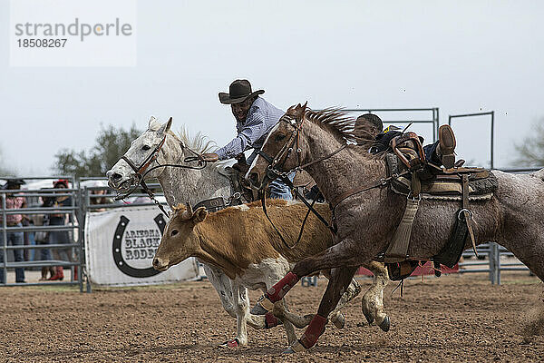 A roping even tat the Arizona Black Rodeo