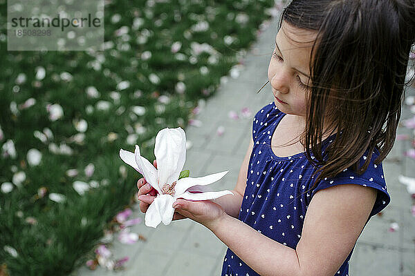 A small child stands in a yard strew with blossoms holding a flower