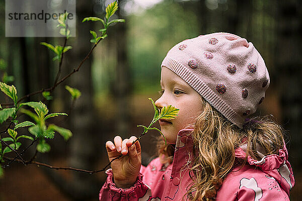 Entzückendes Mädchen  das einen Ast im Wald riecht