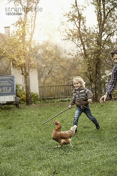 Vater und Sohn verfolgen Hühner auf einem Bauernhof in Bayern  Deutschland