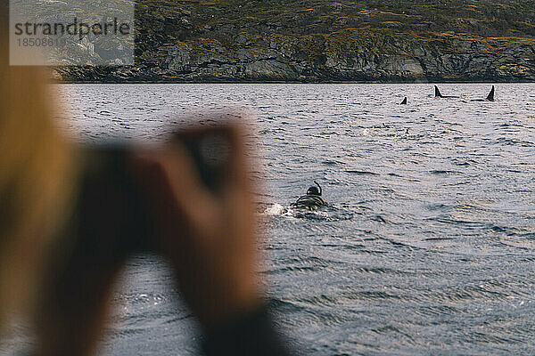 Photographing Swimmer with Killers Whales