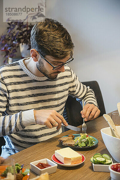 Mann isst eine kalte Mahlzeit mit Salat  München  Deutschland
