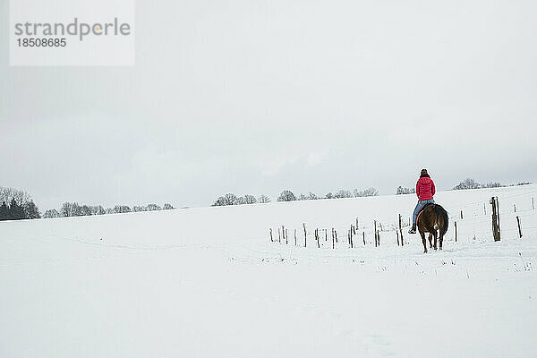 Rückansicht einer jungen Frau auf einem Pferd im Winter  Bayern  Deutschland