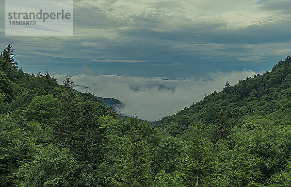 Sonnenaufgangslandschaft Great Smoky Mountains Nationalpark