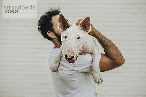Bärtiger Mann  der einen weißen Bullterrierhund auf den Schultern hält